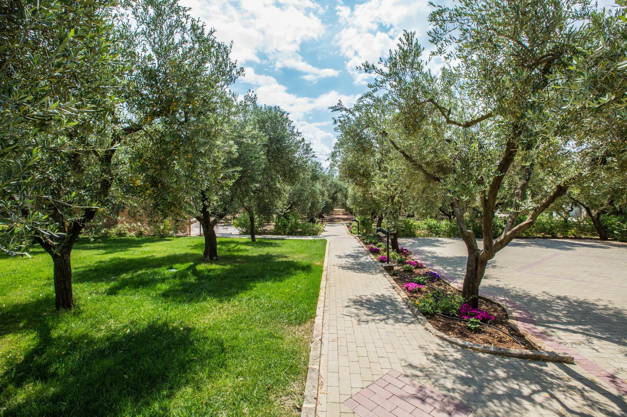 Dimora Tenuta Solentino Torre San Giovanni Ugento Εξωτερικό φωτογραφία